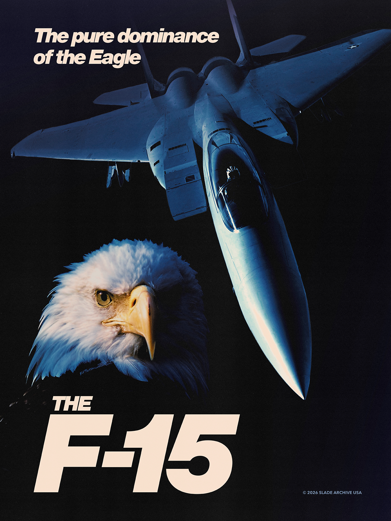 Eagle Poster