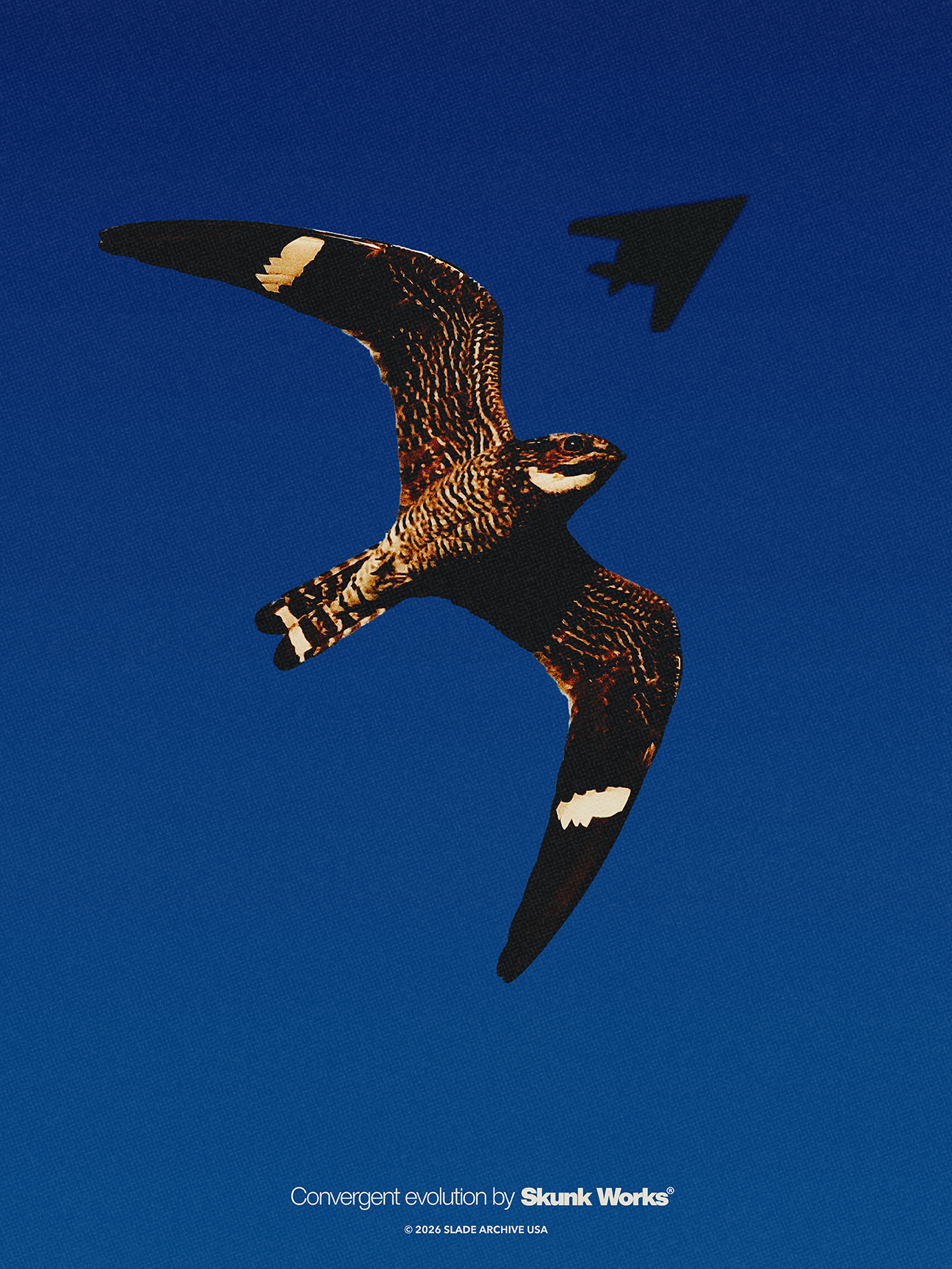 Nighthawk Poster